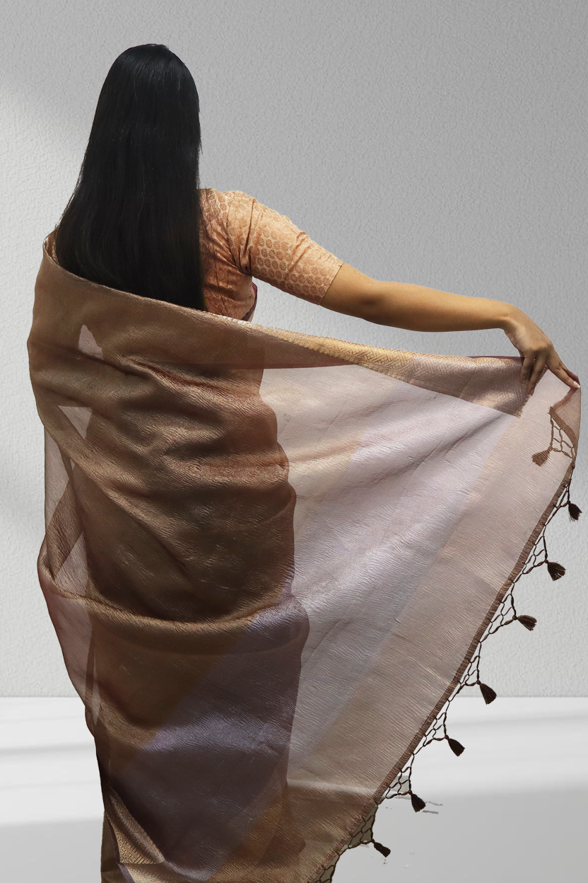 Cocoa Luxe! The Rich Coffee Glow